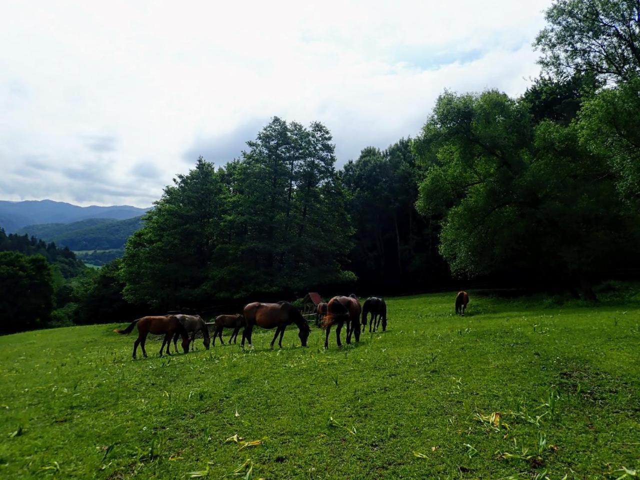 شقة Zrebcin Mlyncok Slovenska Lupca المظهر الخارجي الصورة